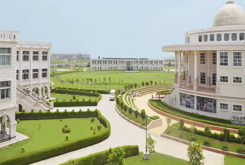 Noida International University